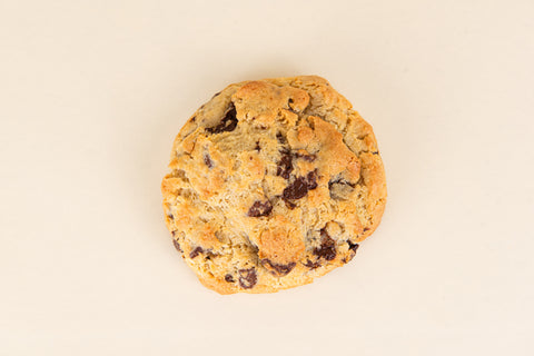 Chocolate Chip