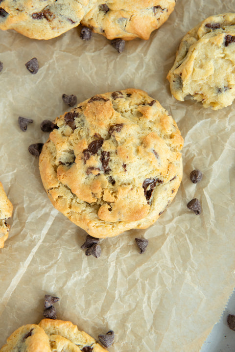 Chocolate Chip